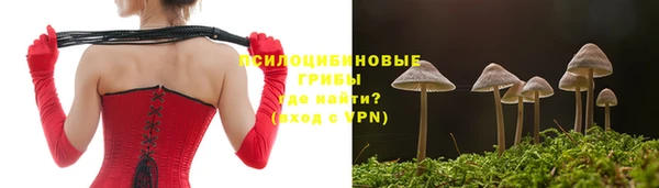 хмурый Горно-Алтайск