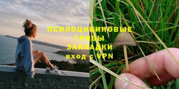 гидропоника Горнозаводск