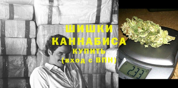 гидропоника Горнозаводск