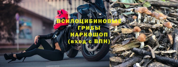 хмурый Горно-Алтайск