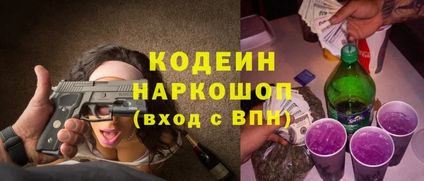 молекула духа Туринск