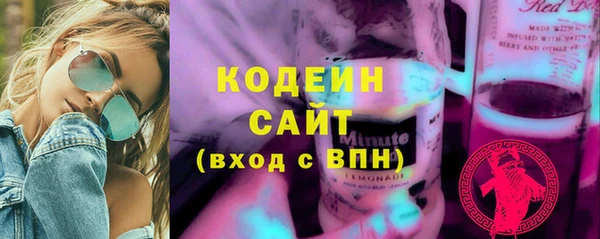 хмурый Горно-Алтайск