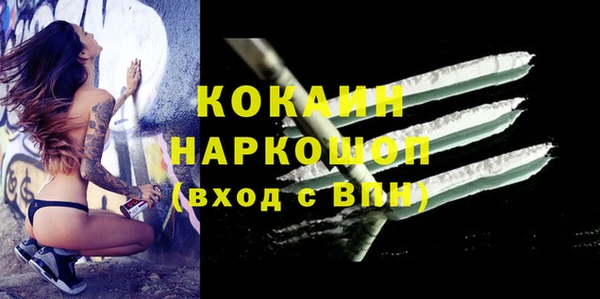 гидропоника Горнозаводск