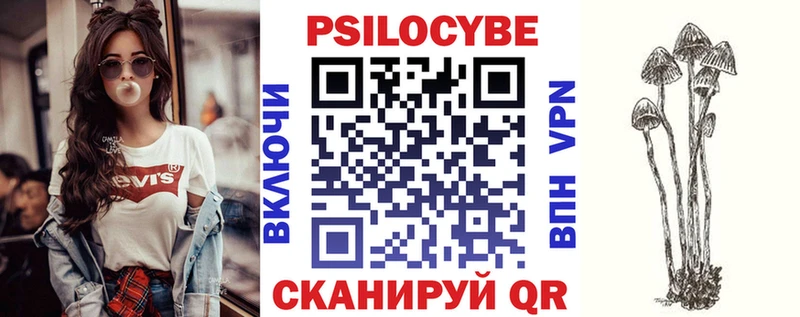 Псилоцибиновые грибы Psilocybine cubensis  omg маркетплейс  Лаишево  продажа наркотиков 